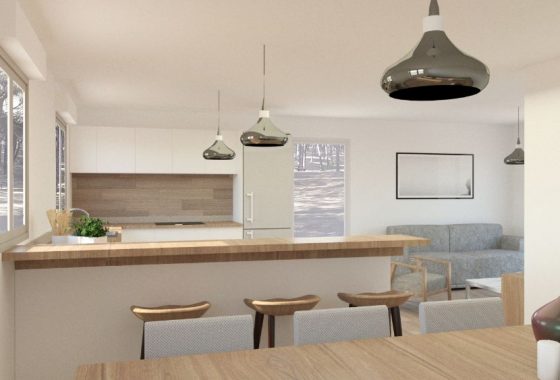 Tipo 3. Cocina - salón Tipo 3. Cocina - salón