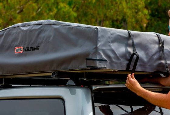 ARB-Carpa-2 ARB-Carpa-2