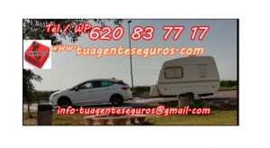 carvana