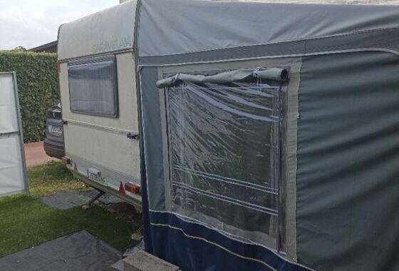 IMG_20250413_113208