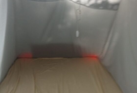 IMG-20250813-WA0001